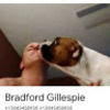 gillespiebrad1